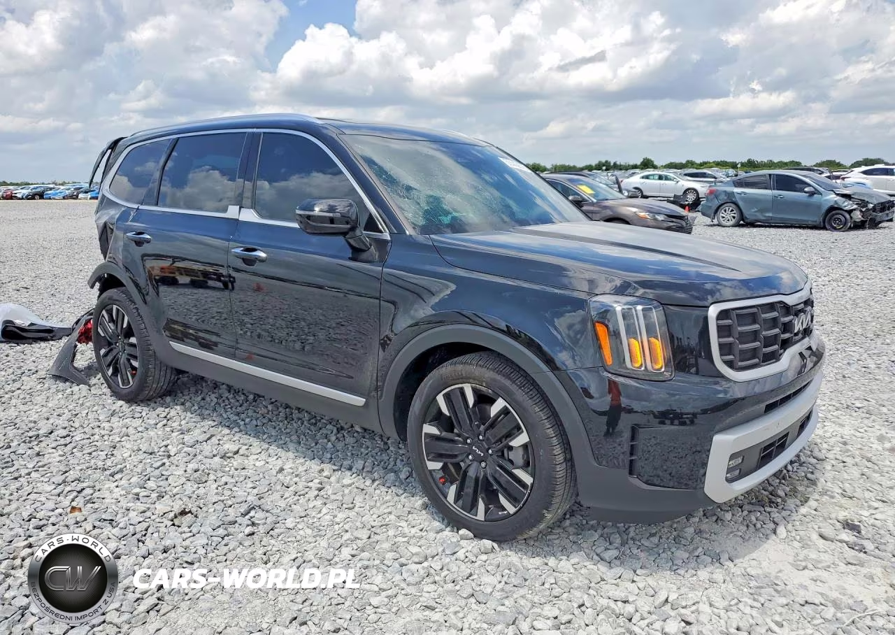 2025 Kia Telluride Sx VIN:5XYP54GCXSG651494 - 4