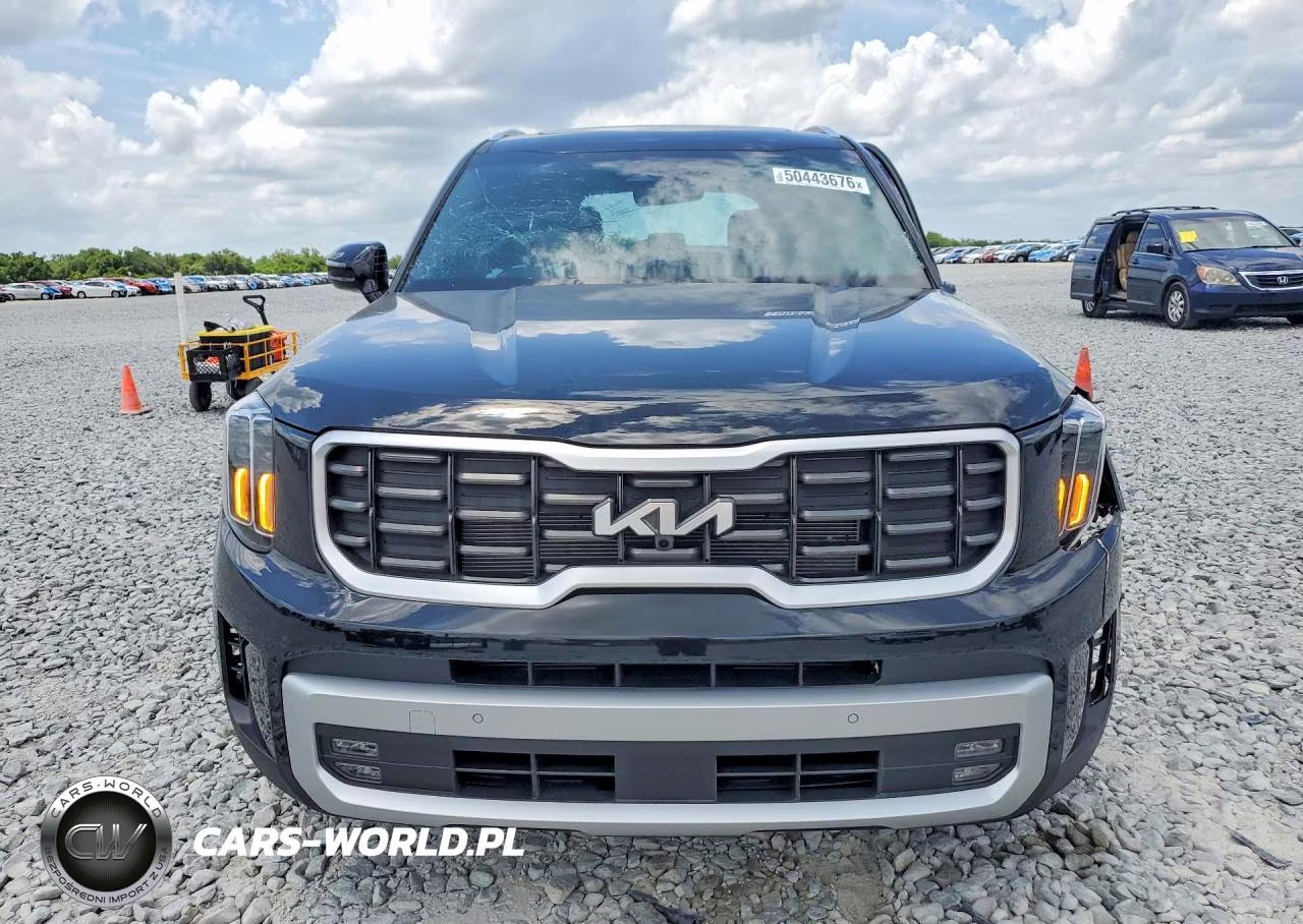 2025 Kia Telluride Sx VIN:5XYP54GCXSG651494 - 5