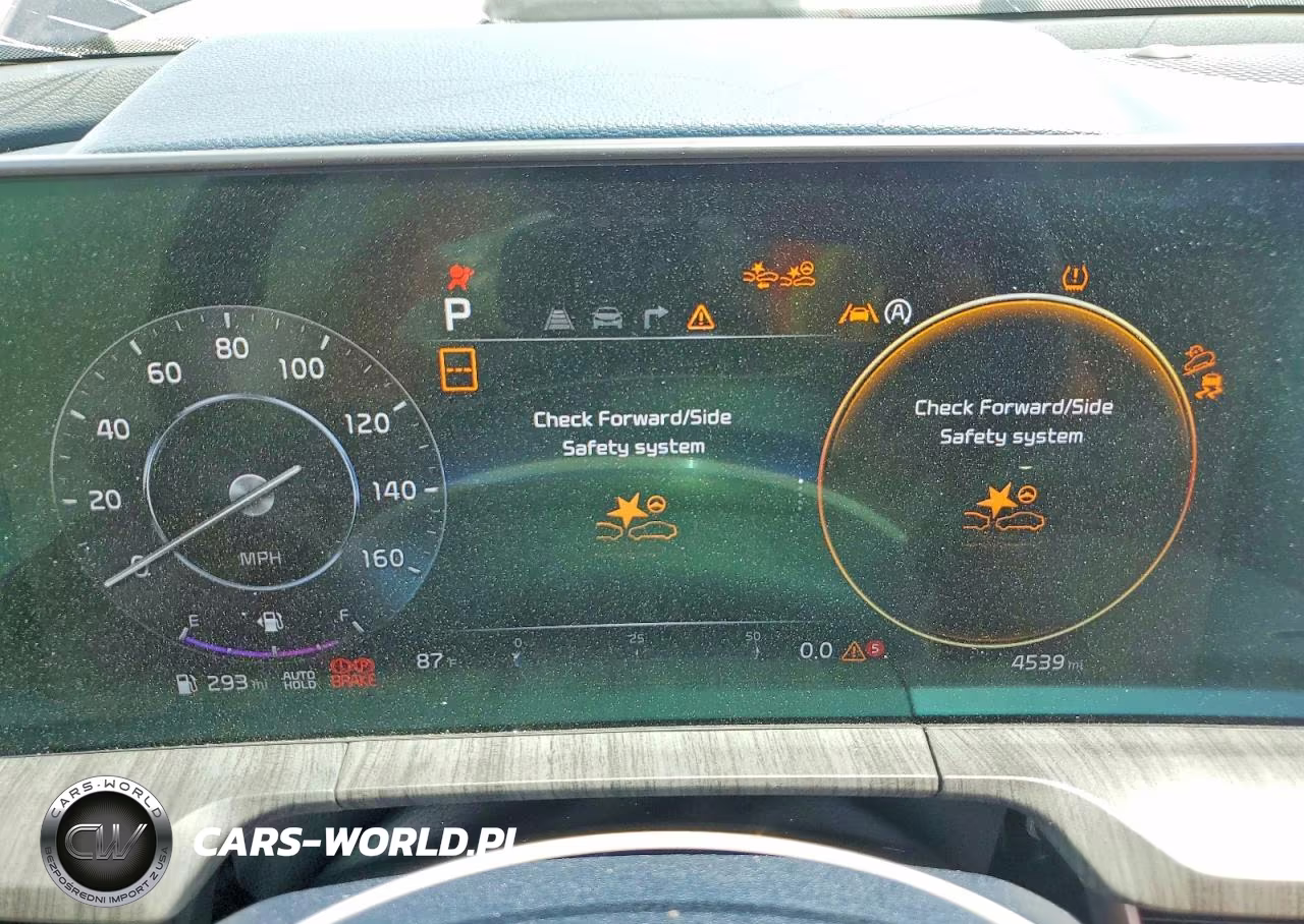 2025 Kia Telluride Sx VIN:5XYP54GCXSG651494 - 9