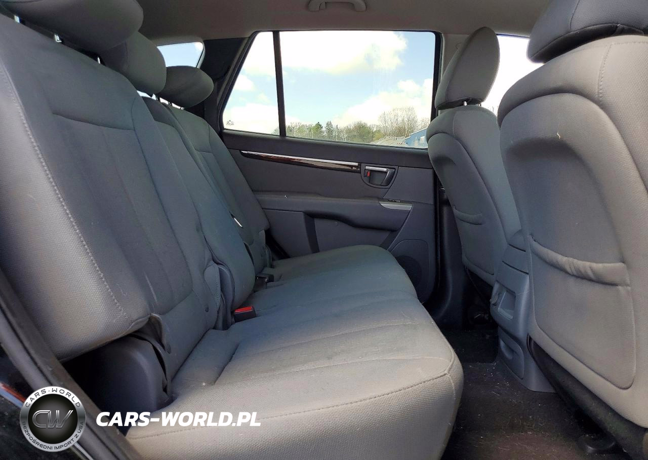2010 Hyundai Santa Fe Gls VIN:5NMSG3AB3AH382824 - 11
