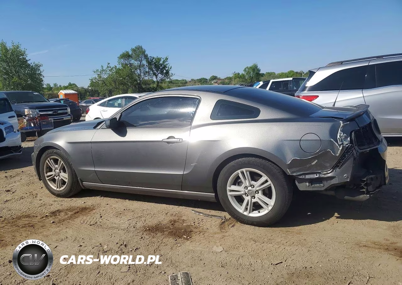 2013 Ford Mustang VIN:1ZVBP8AM4D5269614 - 2