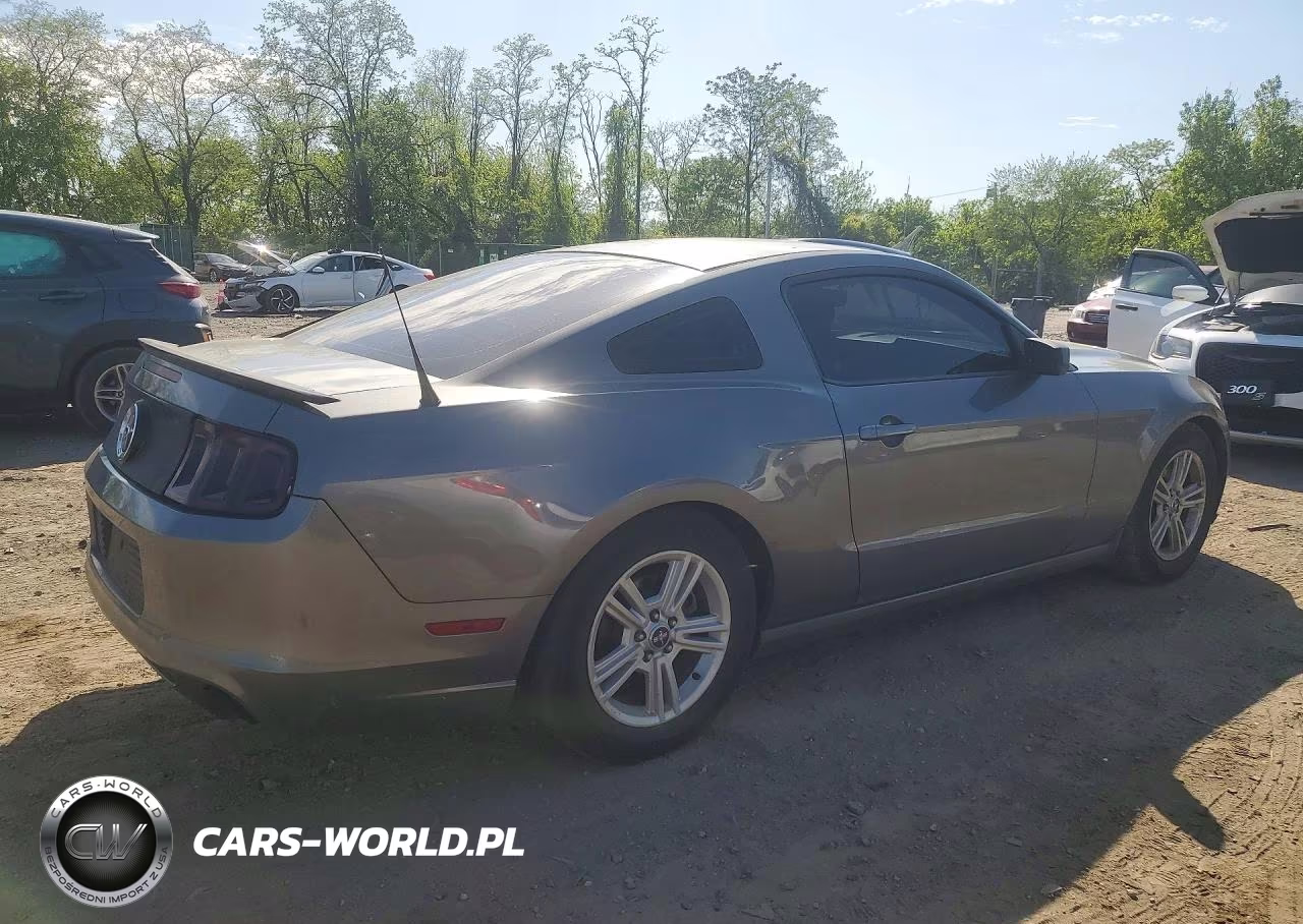 2013 Ford Mustang VIN:1ZVBP8AM4D5269614 - 3