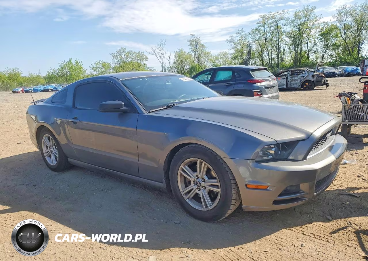 2013 Ford Mustang VIN:1ZVBP8AM4D5269614 - 4