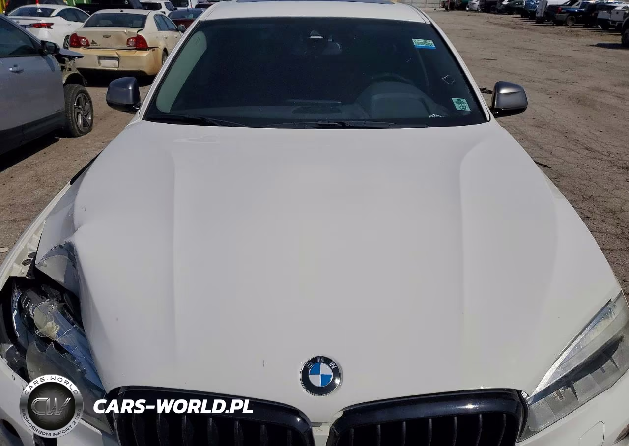 2015 BMW X6 xDrive50I VIN:5UXKU6C5XF0F94310 - 11