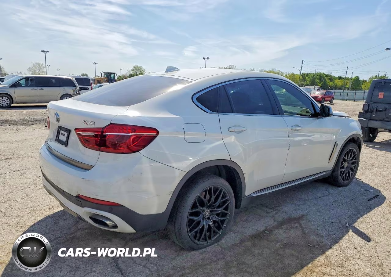 2015 BMW X6 xDrive50I VIN:5UXKU6C5XF0F94310 - 3