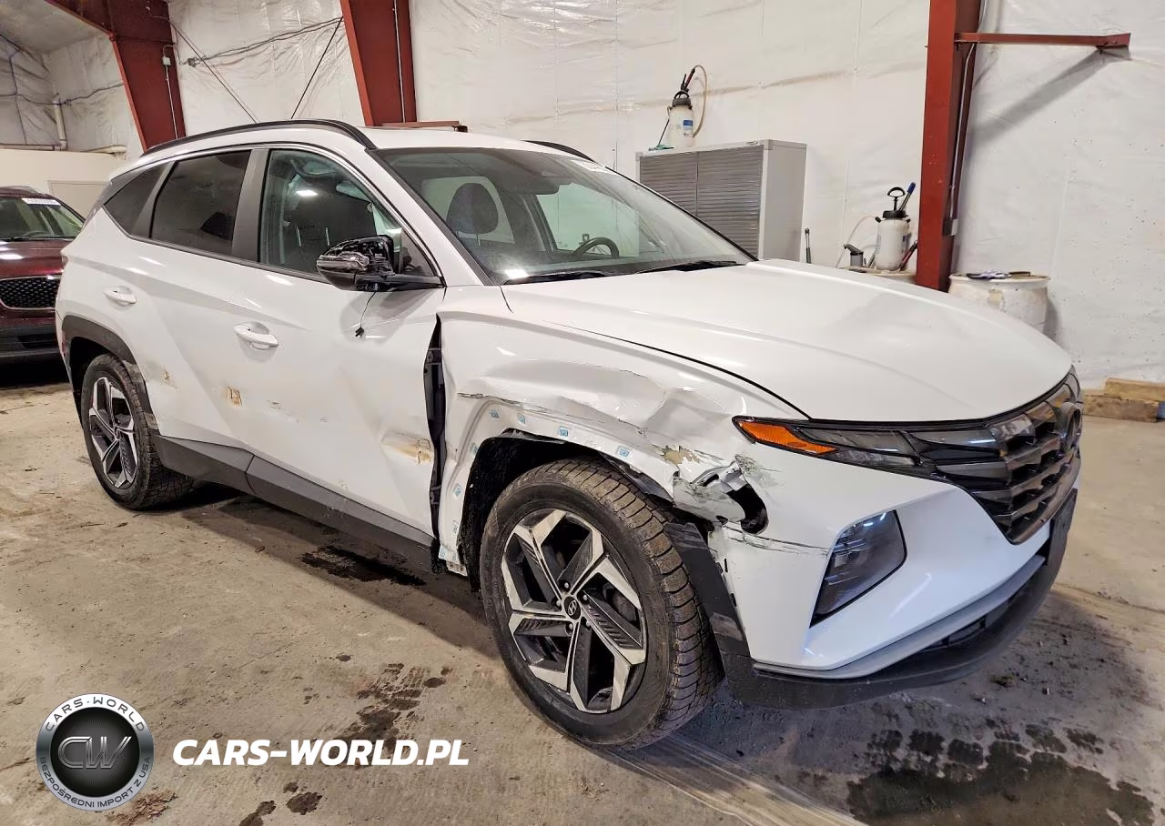 2022 Hyundai Tucson Sel VIN:5NMJCCAE4NH134394 - 4