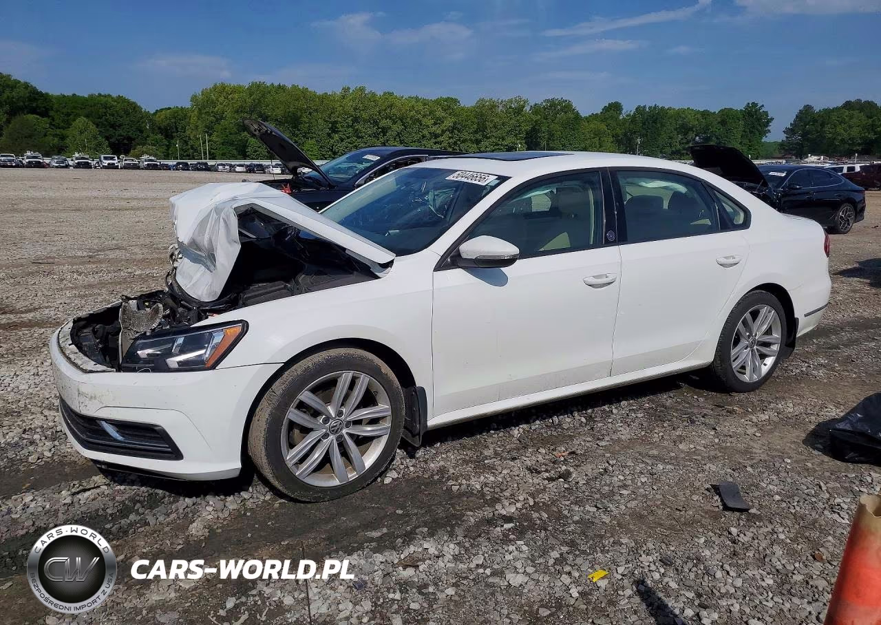 2019 Volkswagen Passat Wolfsburg