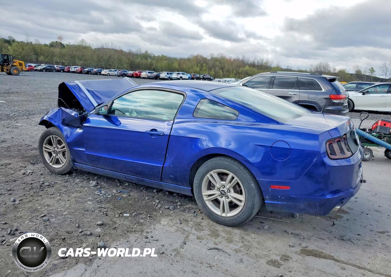 2014 Ford Mustang VIN:1ZVBP8AM8E5255801 - 2