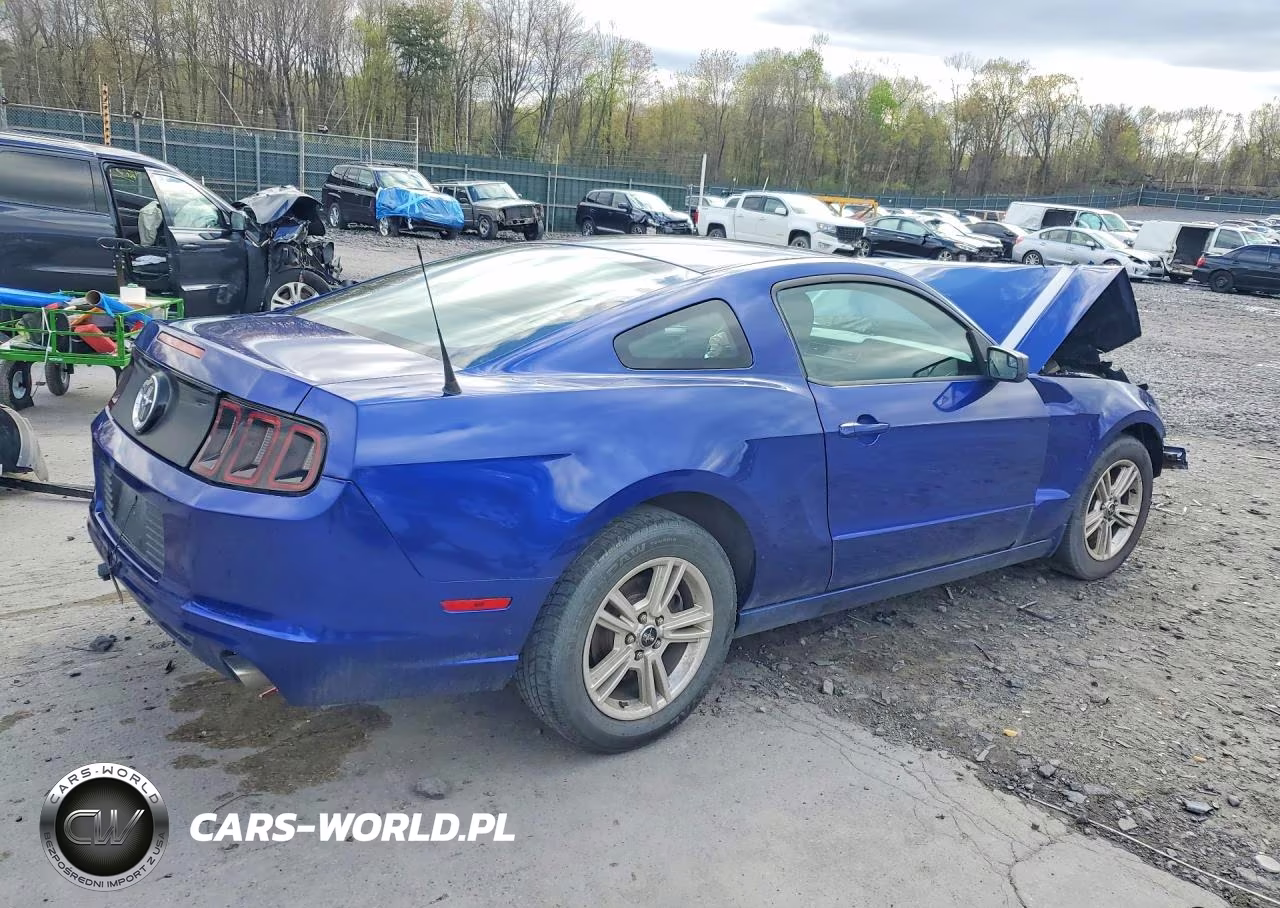 2014 Ford Mustang VIN:1ZVBP8AM8E5255801 - 3