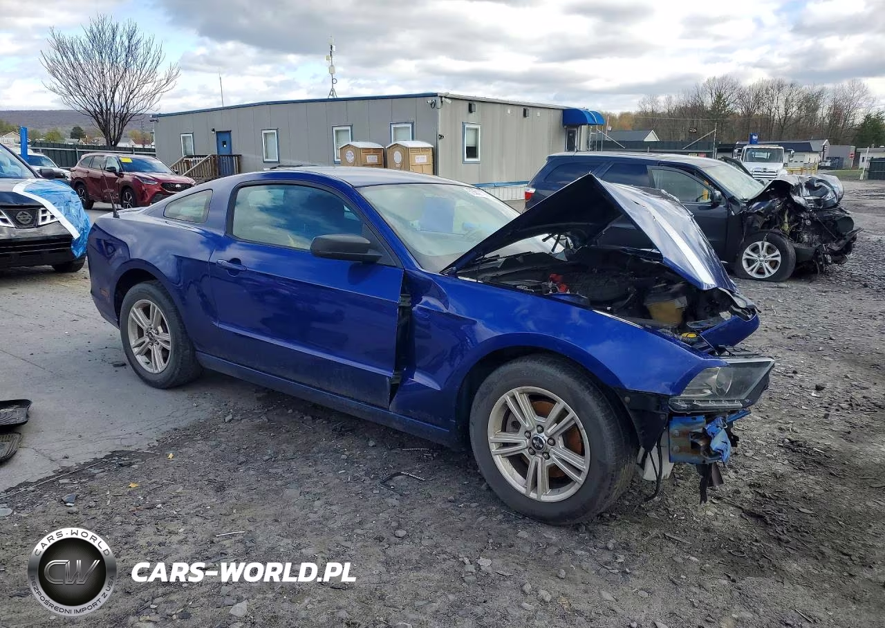 2014 Ford Mustang VIN:1ZVBP8AM8E5255801 - 4