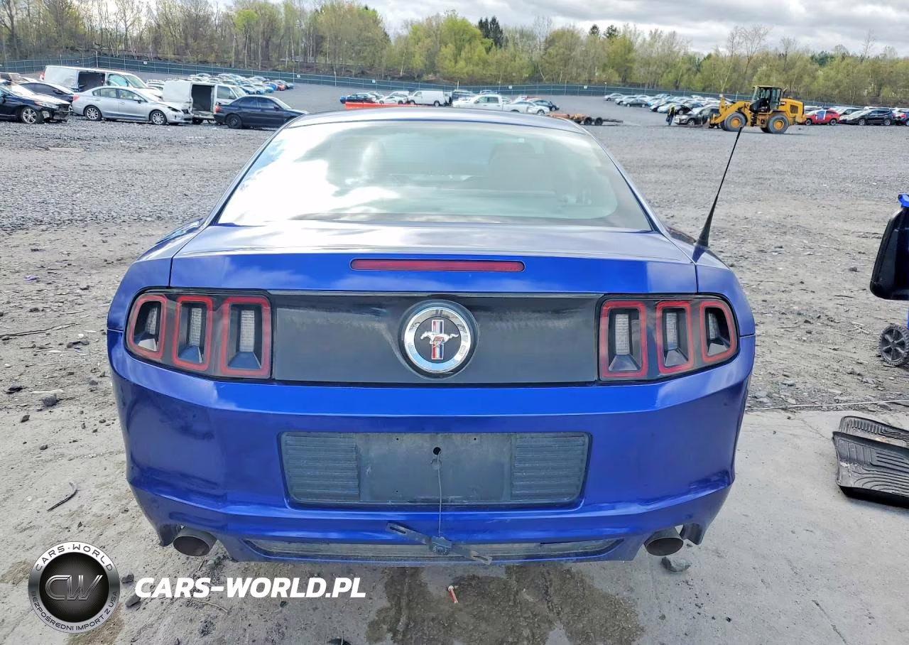 2014 Ford Mustang VIN:1ZVBP8AM8E5255801 - 6