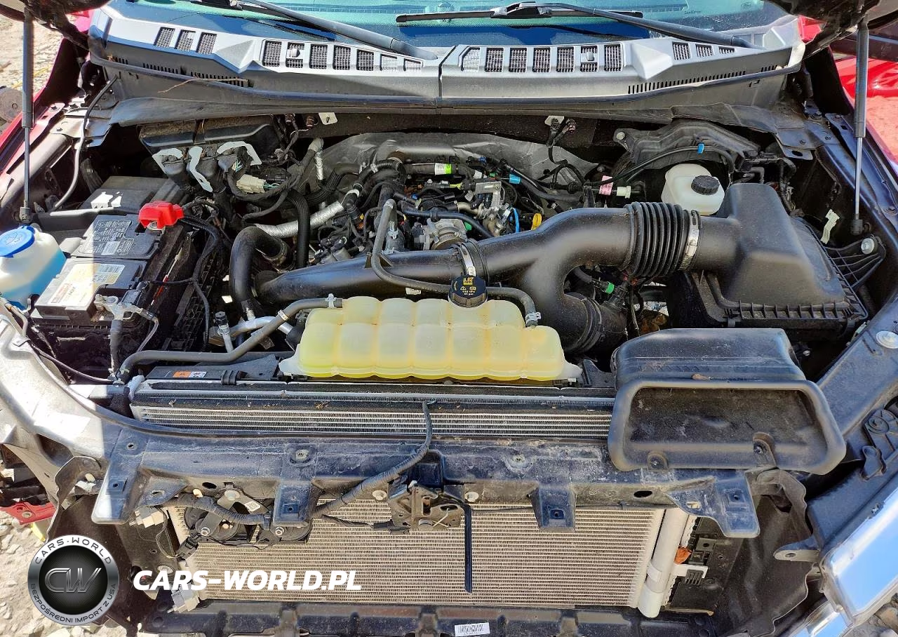 2020 Ford F150 Supercrew VIN:1FTEW1EP9LKE70066 - 11