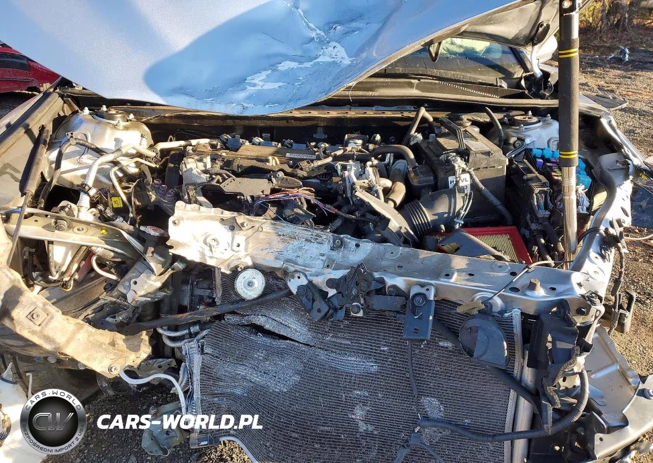2019 Toyota Camry Se VIN:4T1B11HK5KU792266 - 11