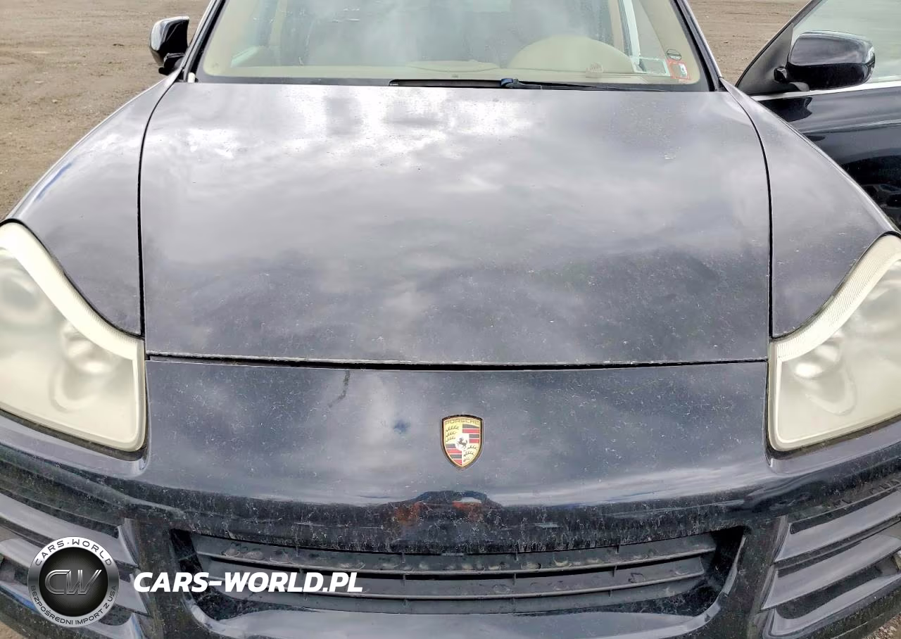 2009 Porsche Cayenne S VIN:WP1AB29PX9LA44009 - 12