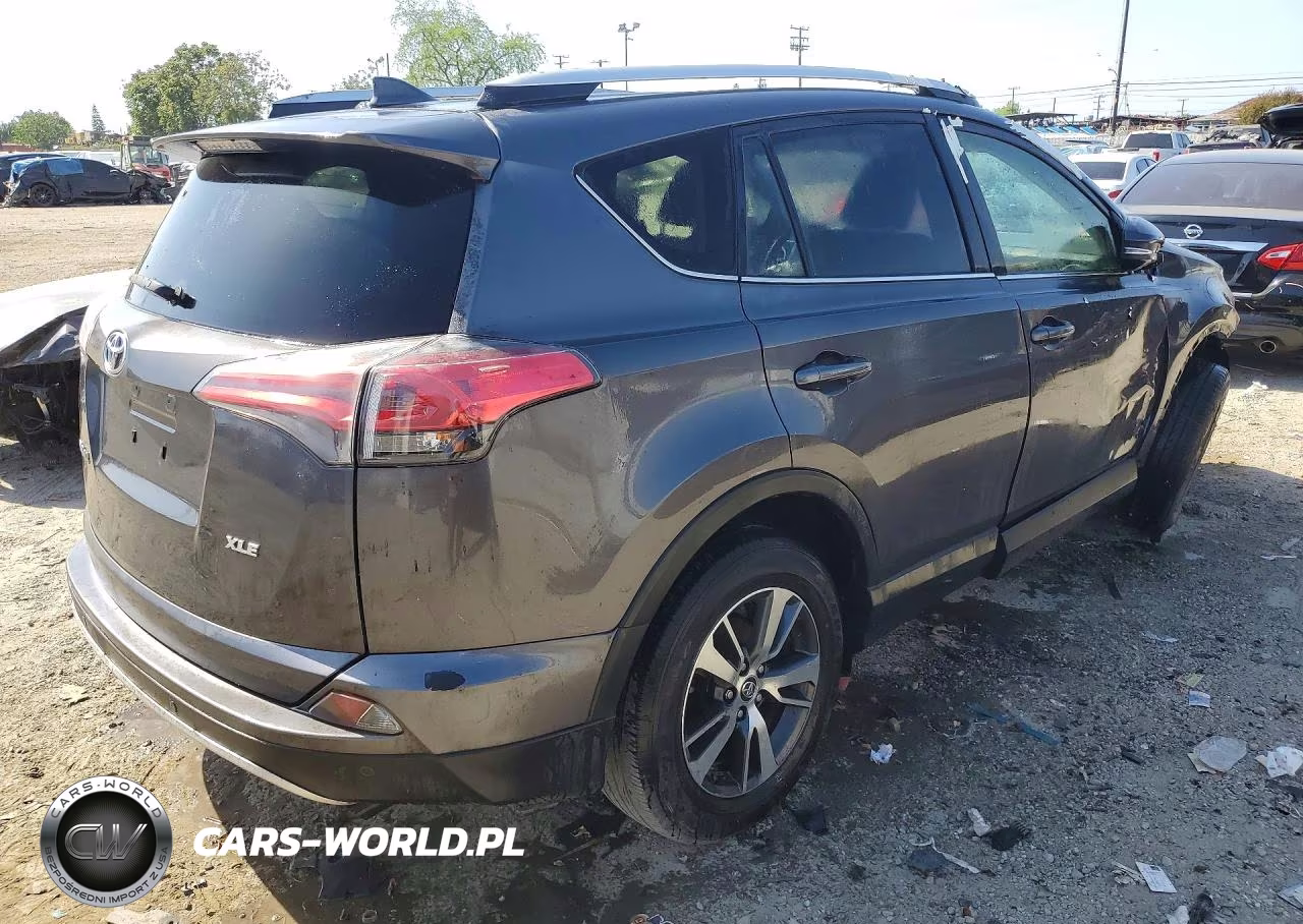 2016 Toyt Rav4 VIN:JTMWFREV9GJ092909 - 3