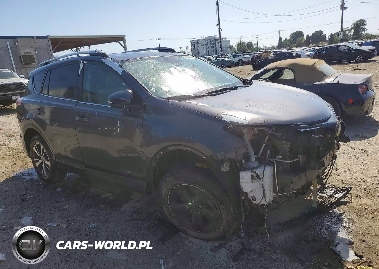 2016 Toyt Rav4 VIN:JTMWFREV9GJ092909 - 4