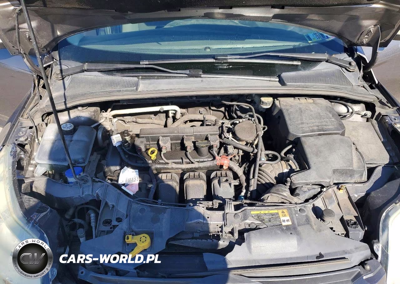 2014 Ford Focus Se VIN:1FADP3K26EL226942 - 11