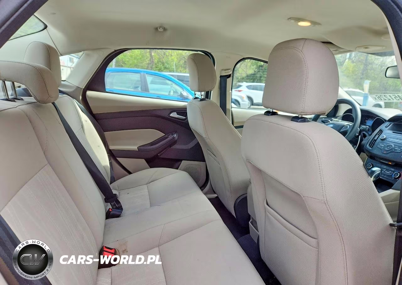 2016 Ford Focus Se VIN:1FADP3F23GL382126 - 10