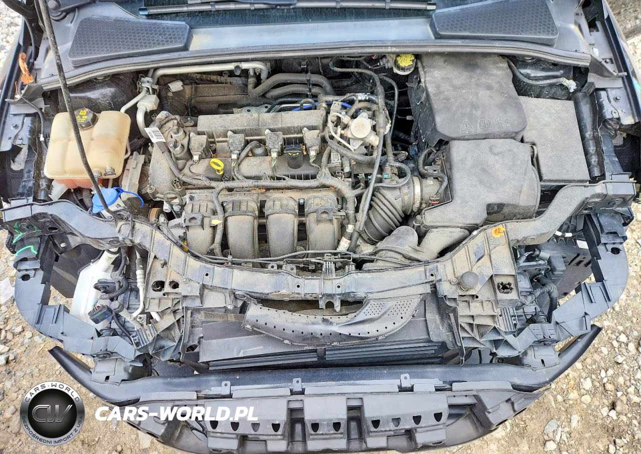 2016 Ford Focus Se VIN:1FADP3F23GL382126 - 11