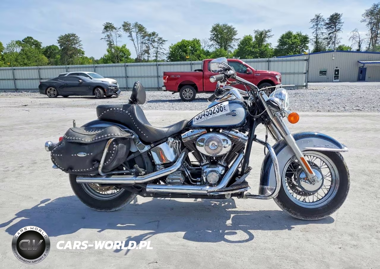 2002 Harley Davidson Flstci