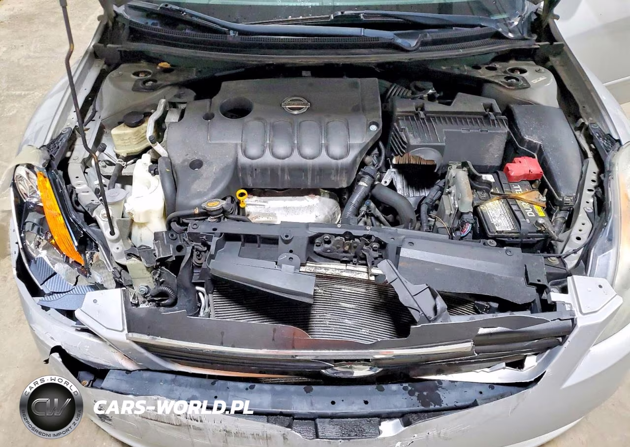 2009 Nissan Altima 2.5 VIN:1N4AL21E49N502811 - 11