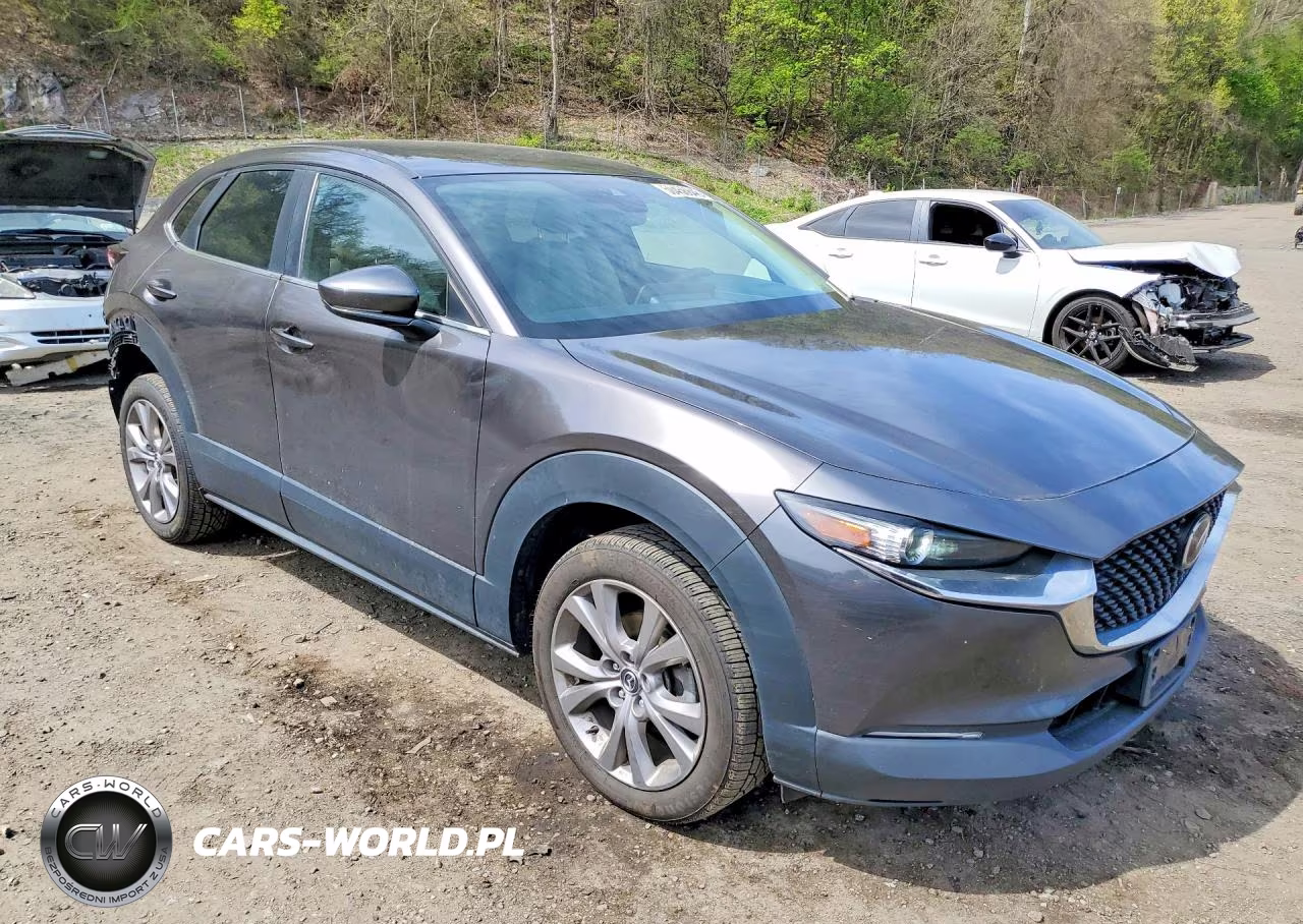 2020 Mazda Cx-30 Select VIN:3MVDMBCL9LM131872 - 4