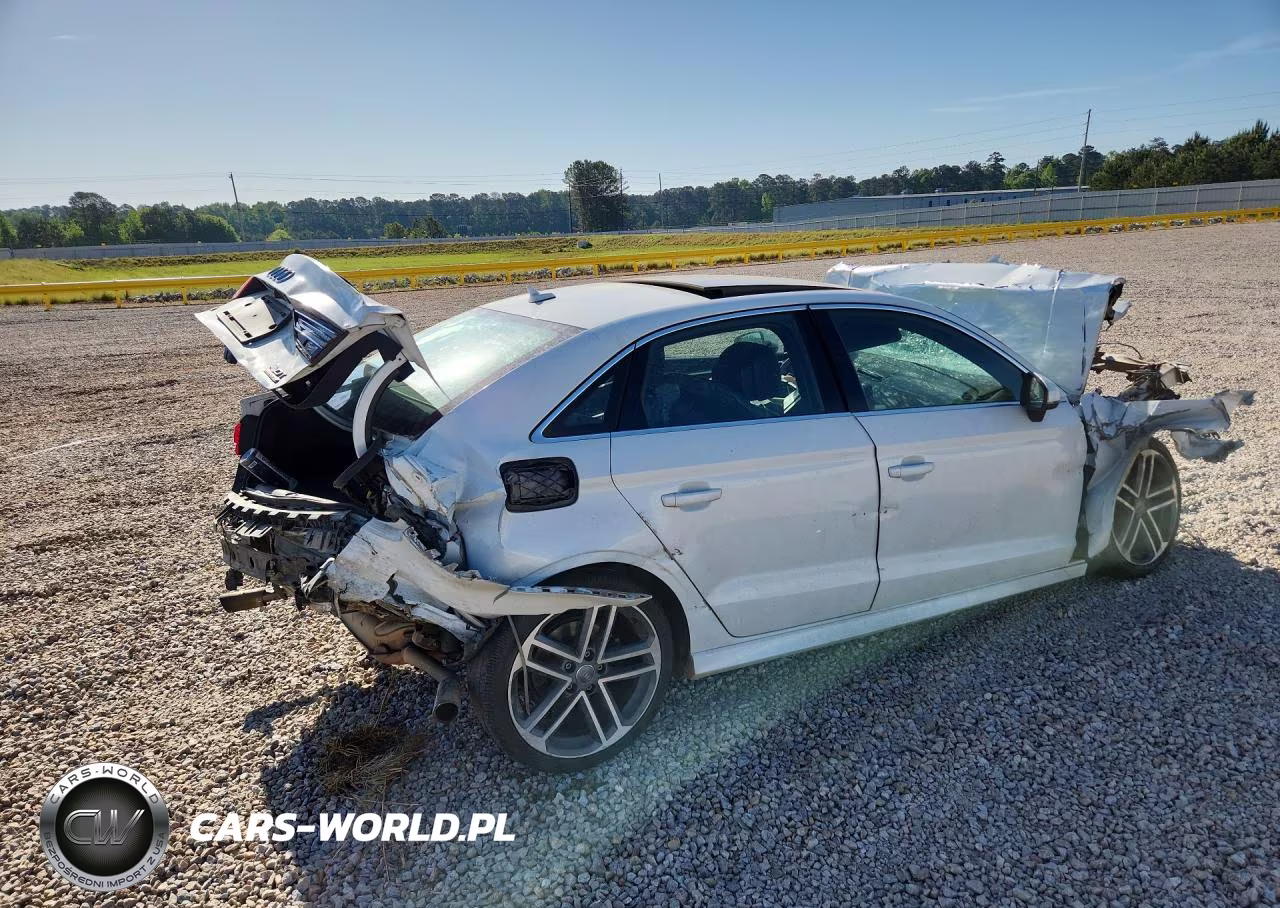2018 Audi A3 Premium Plus VIN:WAUJ8GFF7J1062232 - 3