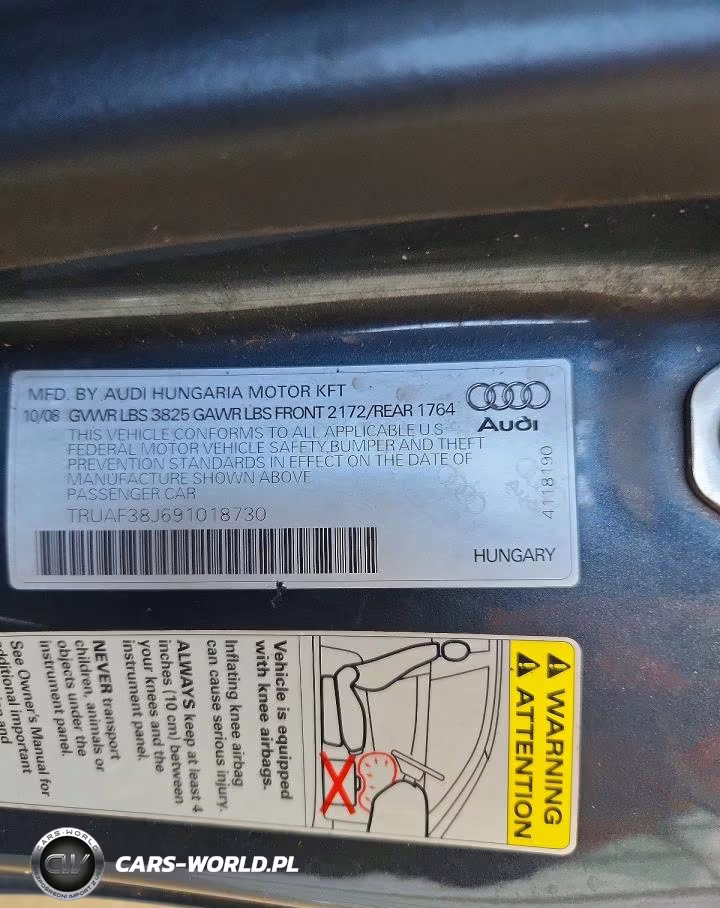 2009 Audi Tt VIN:TRUAF38J691018730 - 13