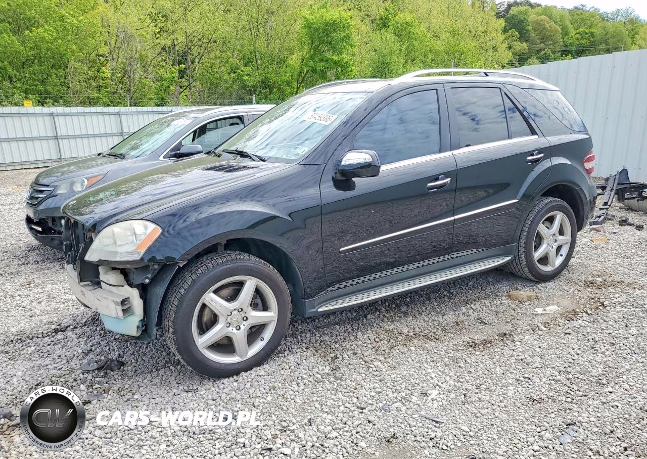 2009 Mercedes-Benz Ml 550