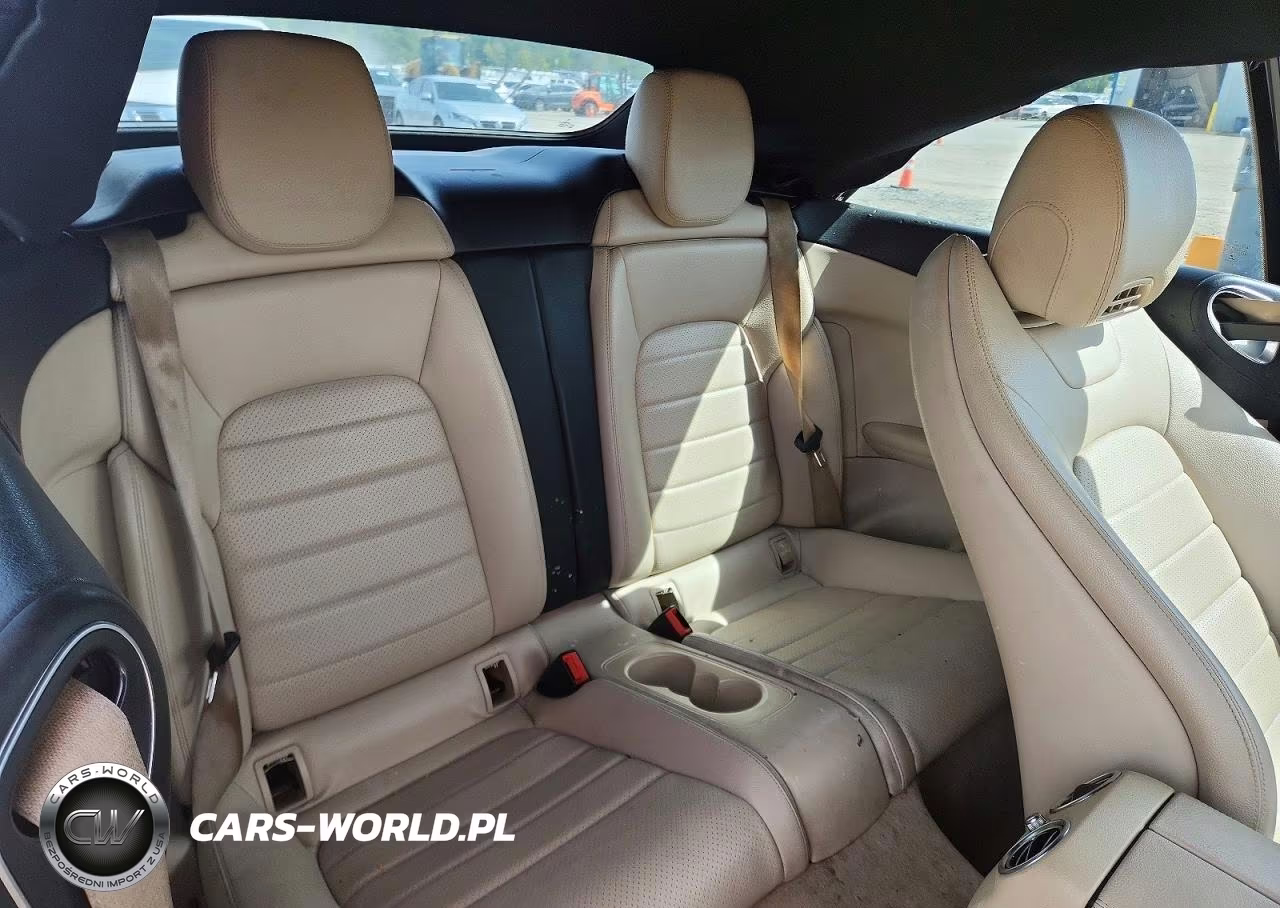 2018 Mercedes-Benz C 300 VIN:WDDWK4JB9JF616053 - 10