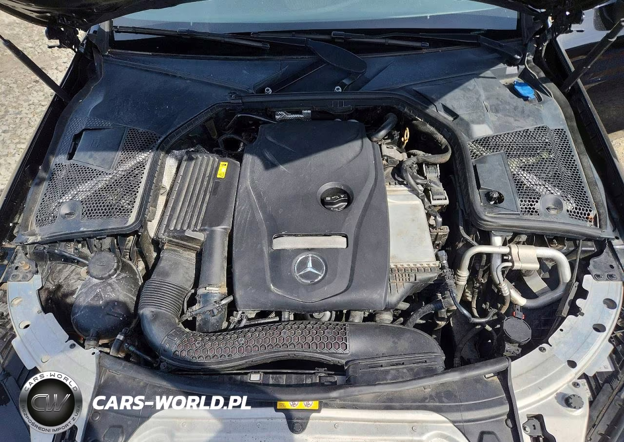 2018 Mercedes-Benz C 300 VIN:WDDWK4JB9JF616053 - 11