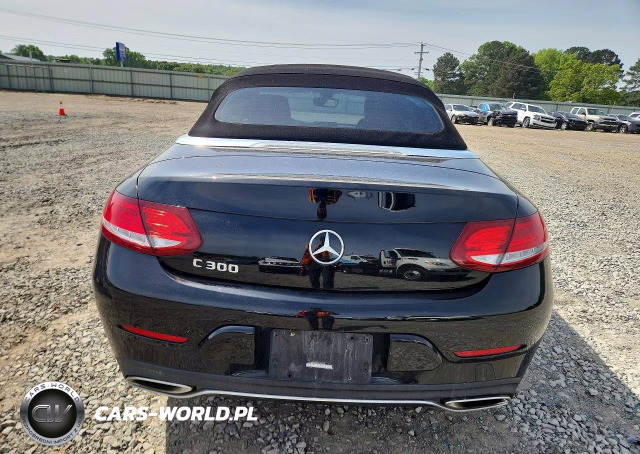 2018 Mercedes-Benz C 300 VIN:WDDWK4JB9JF616053 - 6