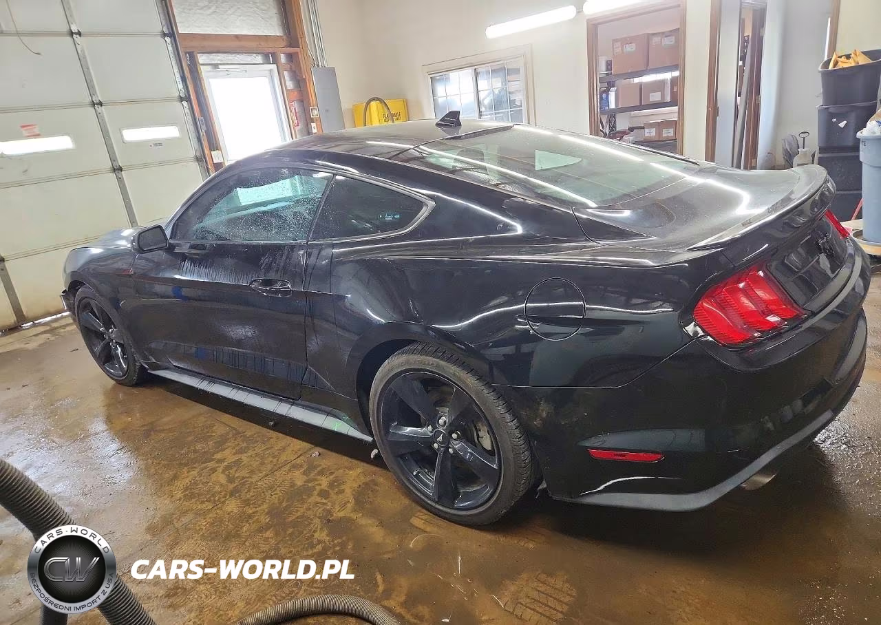 2021 Ford Mustang VIN:1FA6P8THXM5104368 - 2