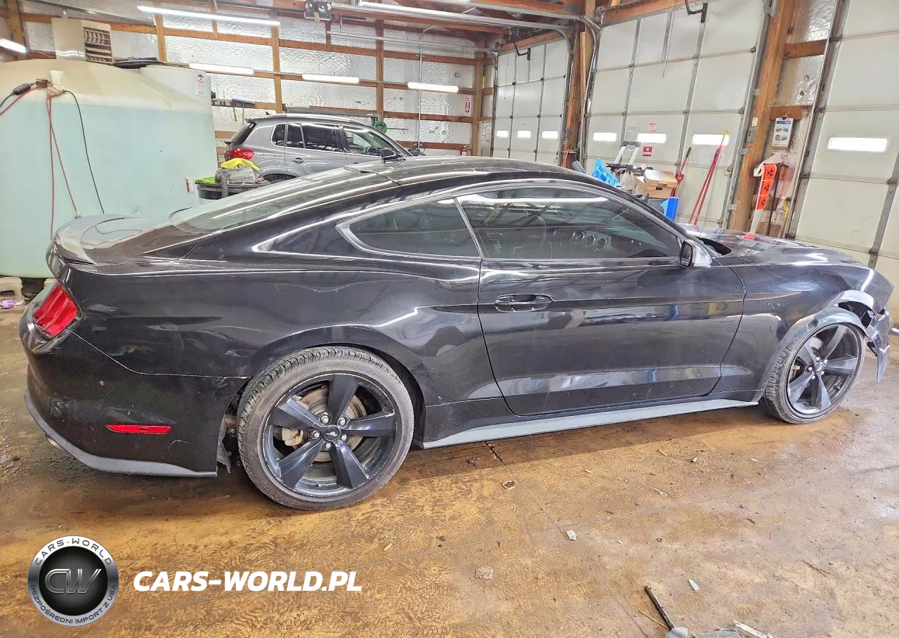 2021 Ford Mustang VIN:1FA6P8THXM5104368 - 3