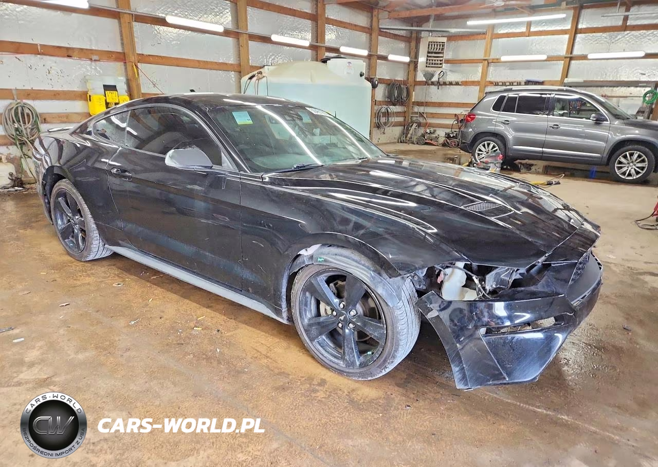 2021 Ford Mustang VIN:1FA6P8THXM5104368 - 4