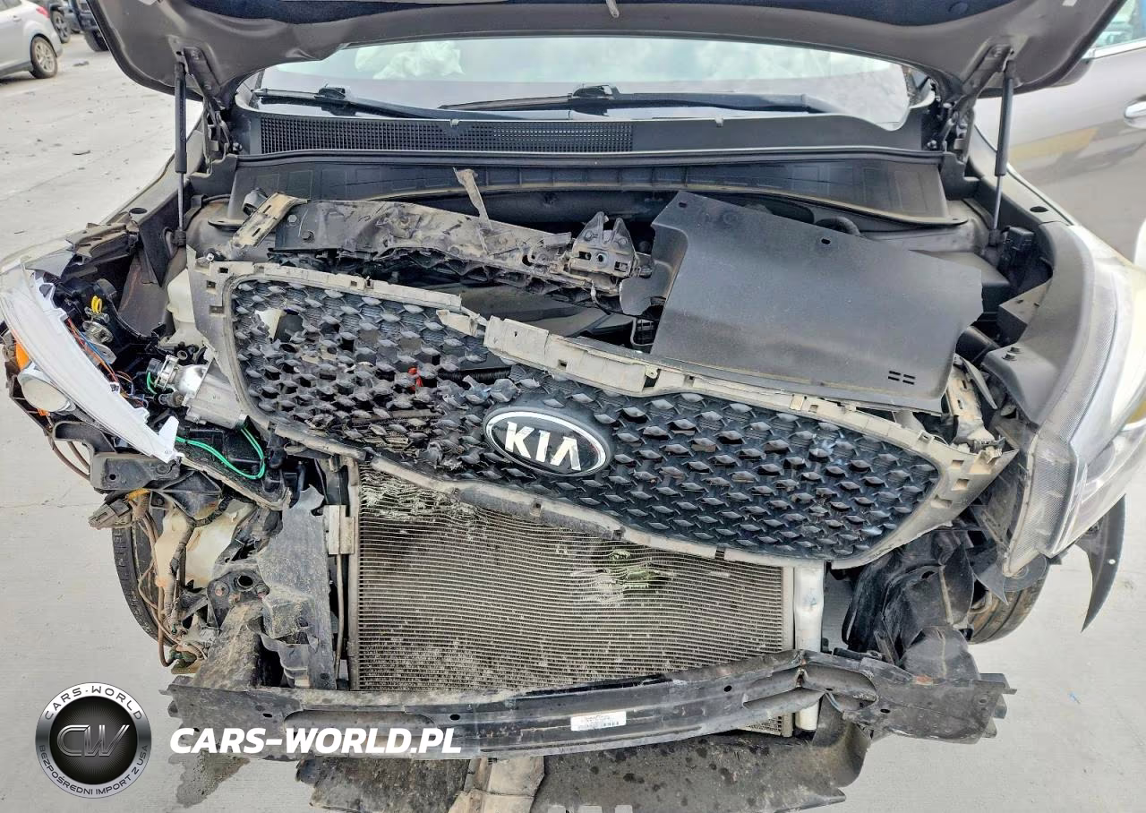 2017 Kia Sorento Lx VIN:5XYPG4A3XHG235893 - 12