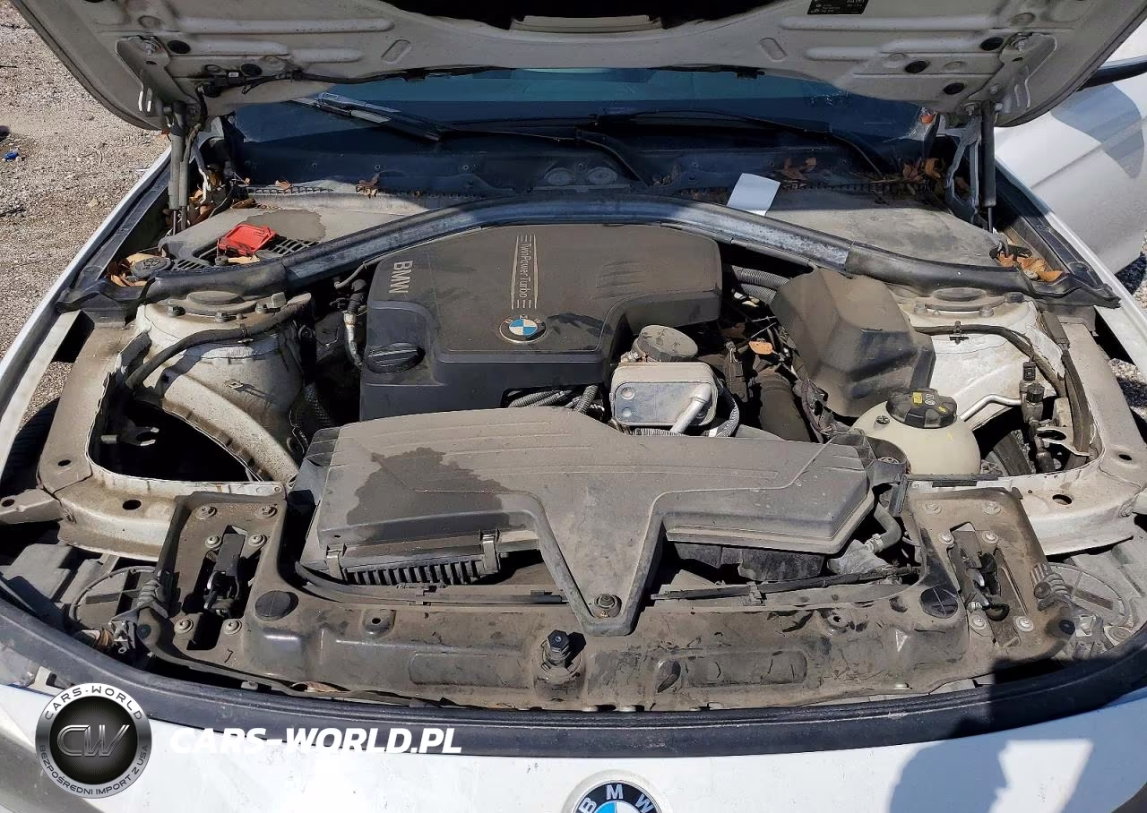 2015 BMW 320 I VIN:WBA3B1C5XFK139812 - 11