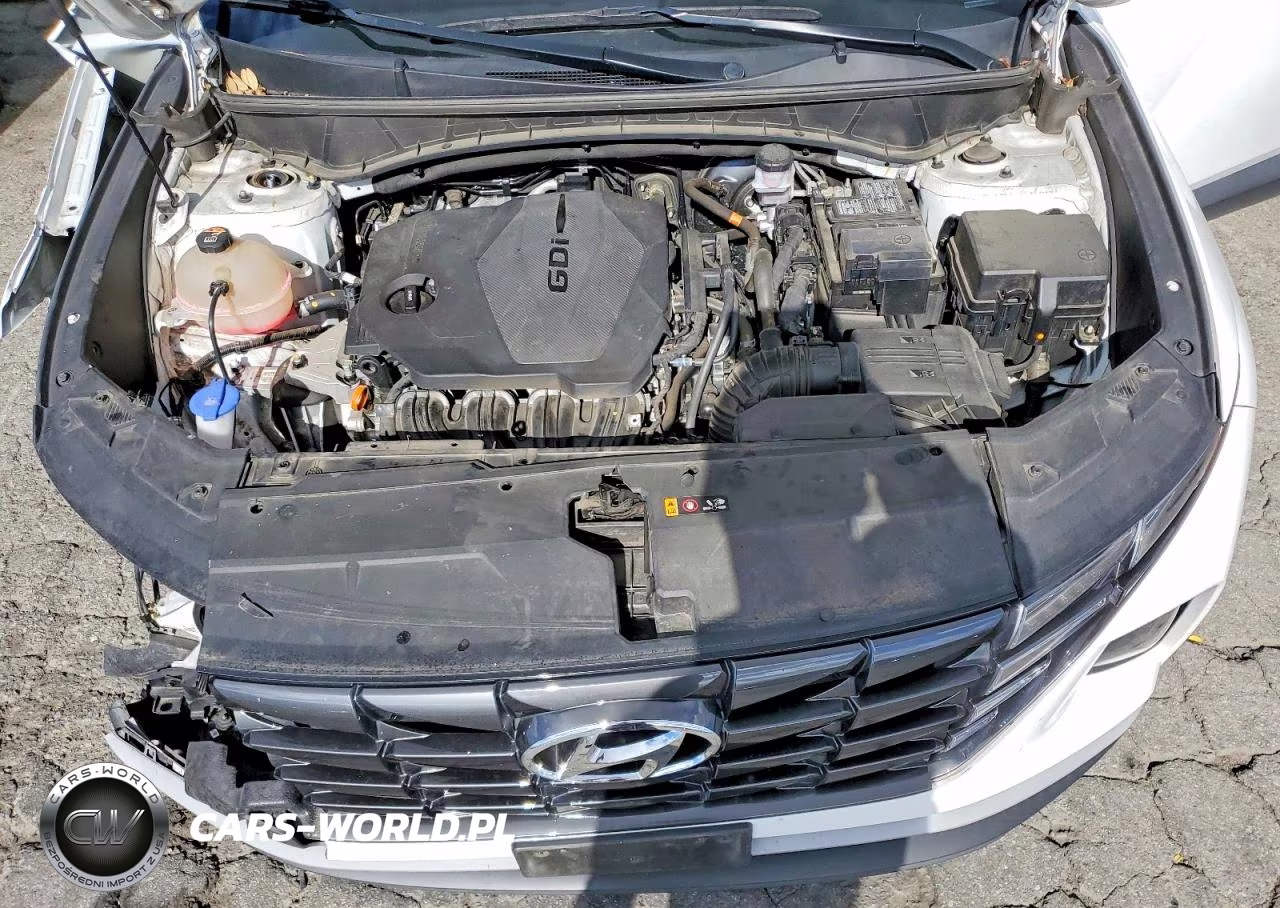 2023 Hyundai Tucson Sel VIN:5NMJB3AE6PH226306 - 12