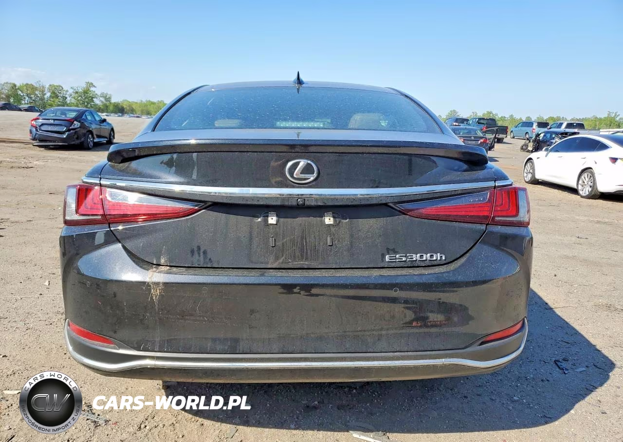 2025 Lexus Es 300H Base VIN:58ADA1C18SU063954 - 6