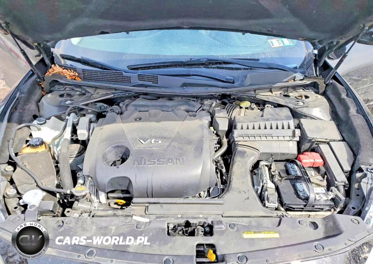 2017 Nissan Maxima Platinum VIN:1N4AA6AP3HC363005 - 11