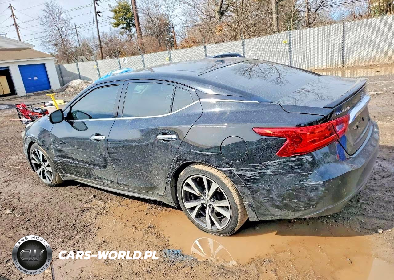 2017 Nissan Maxima Platinum VIN:1N4AA6AP3HC363005 - 2