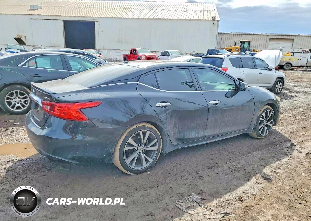 2017 Nissan Maxima Platinum VIN:1N4AA6AP3HC363005 - 3