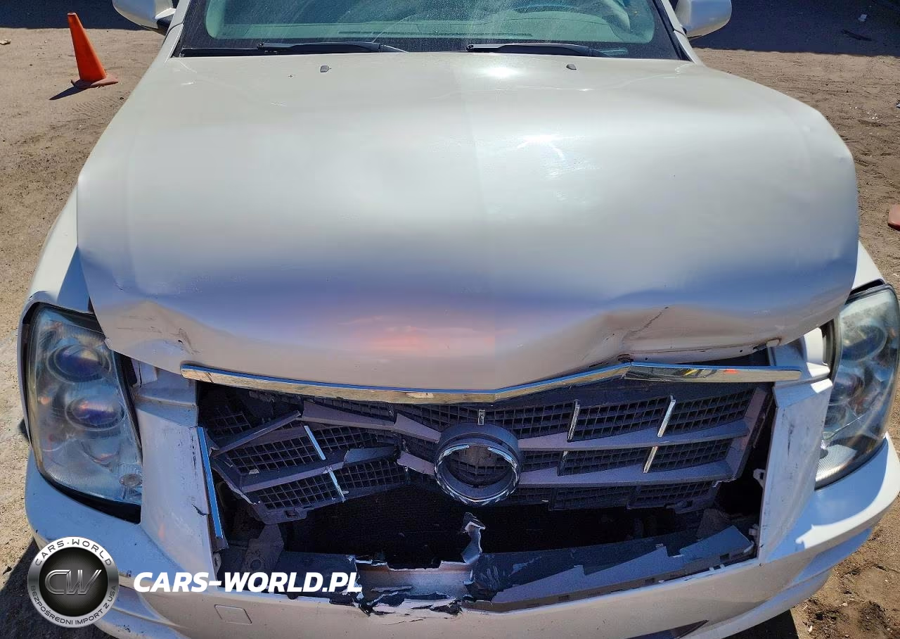 2008 Cadillac Sts VIN:1G6DZ67A980190596 - 11