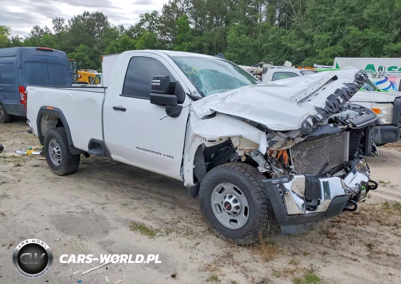 2024 GMC Sierra K2500 Heavy Duty VIN:1GT39LE74RF417755 - 4
