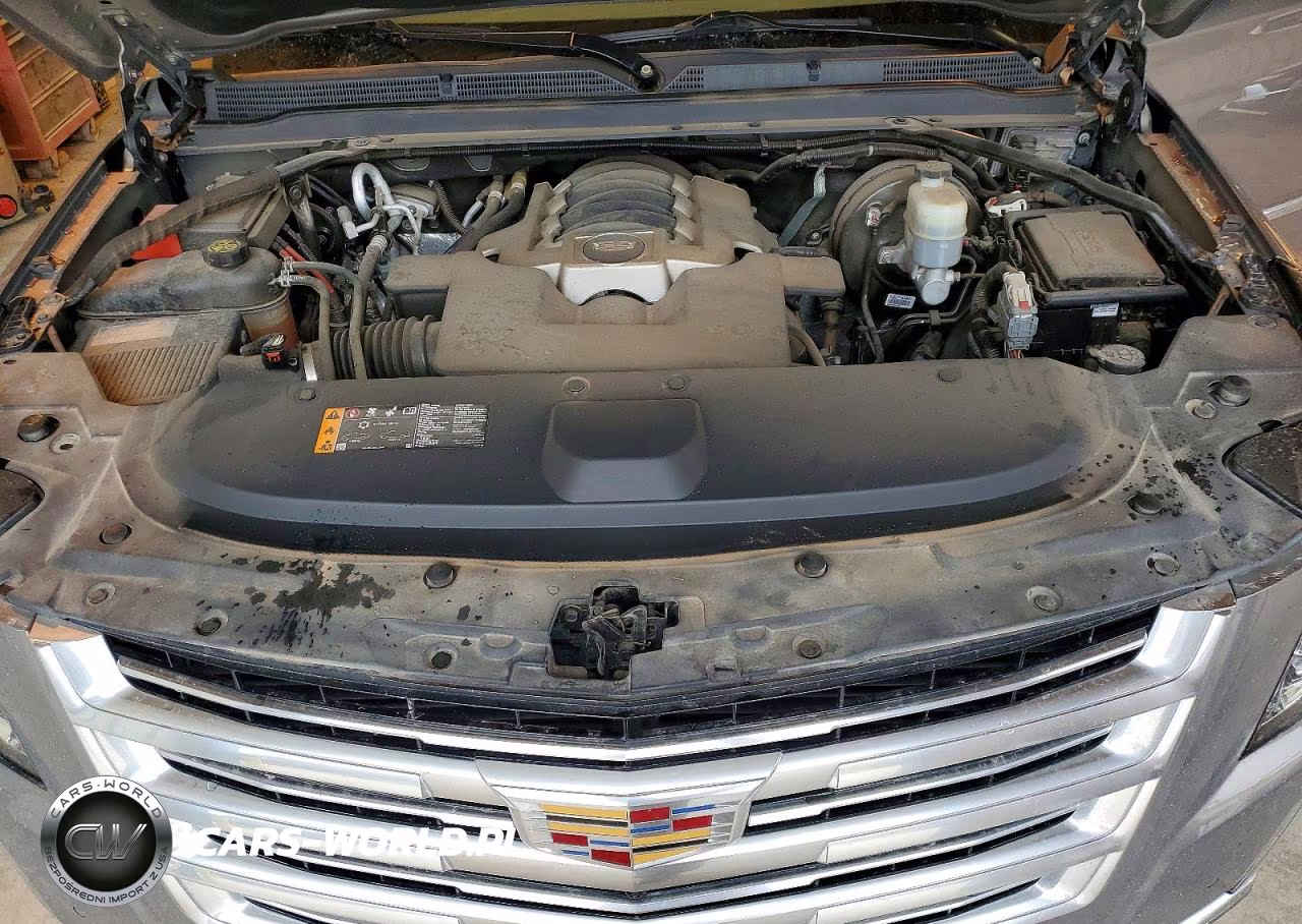 2019 Cadillac Escalade Platinum VIN:1GYS3DKJ7KR173584 - 12