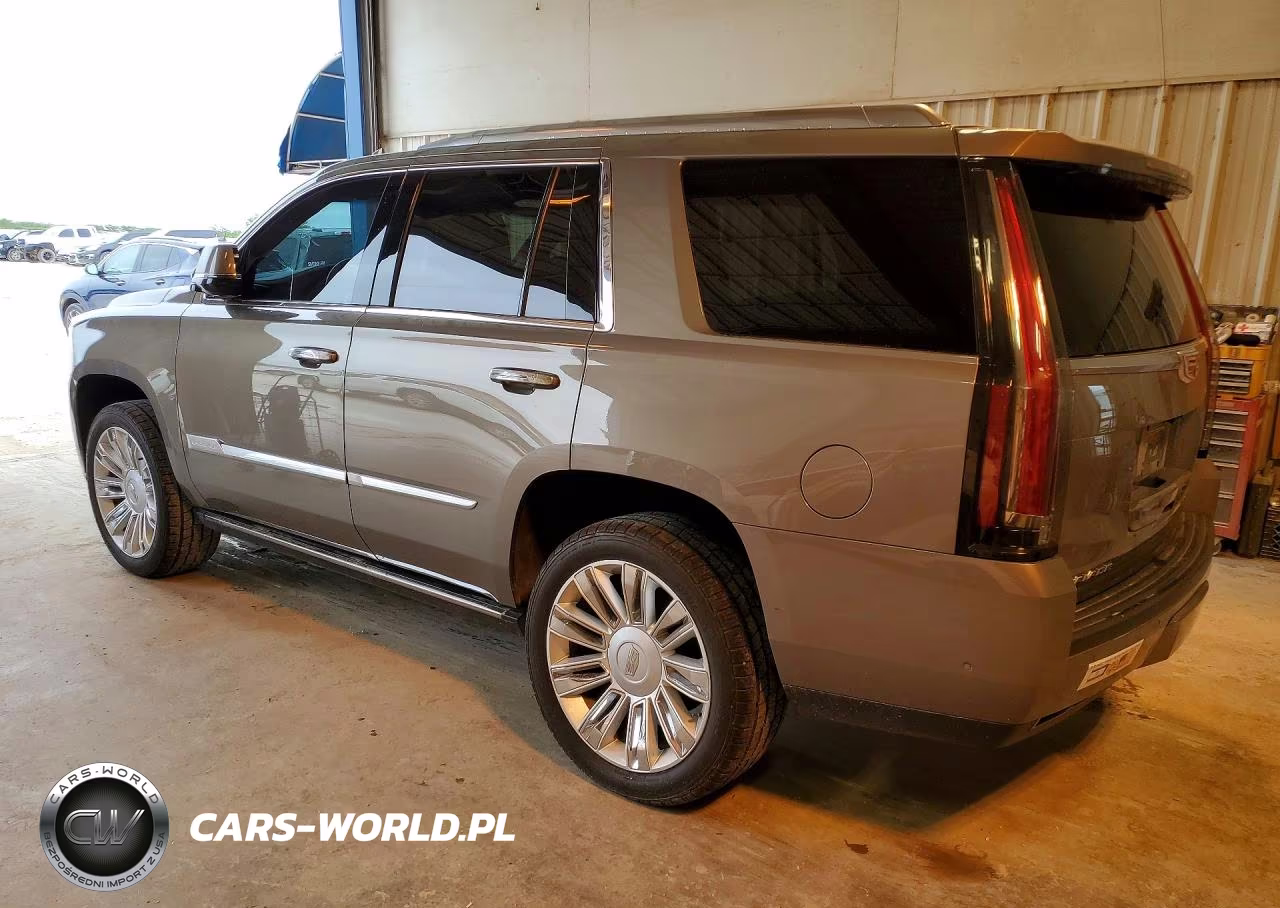 2019 Cadillac Escalade Platinum VIN:1GYS3DKJ7KR173584 - 2