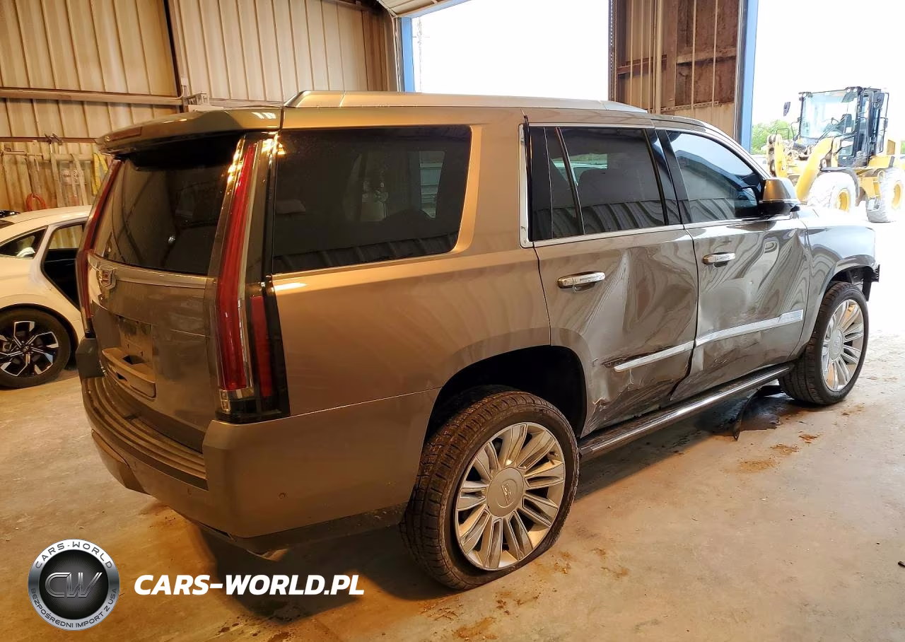 2019 Cadillac Escalade Platinum VIN:1GYS3DKJ7KR173584 - 3