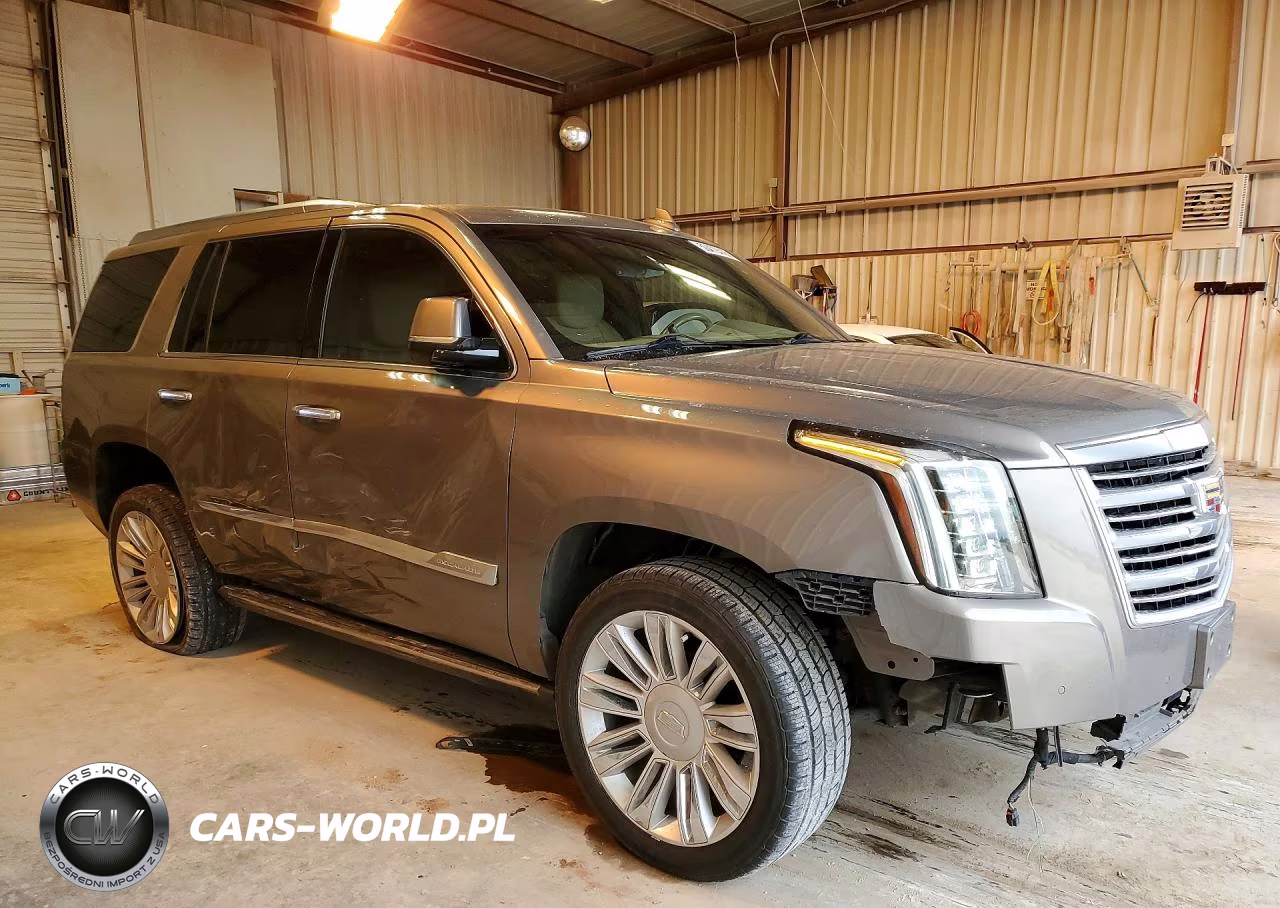 2019 Cadillac Escalade Platinum VIN:1GYS3DKJ7KR173584 - 4