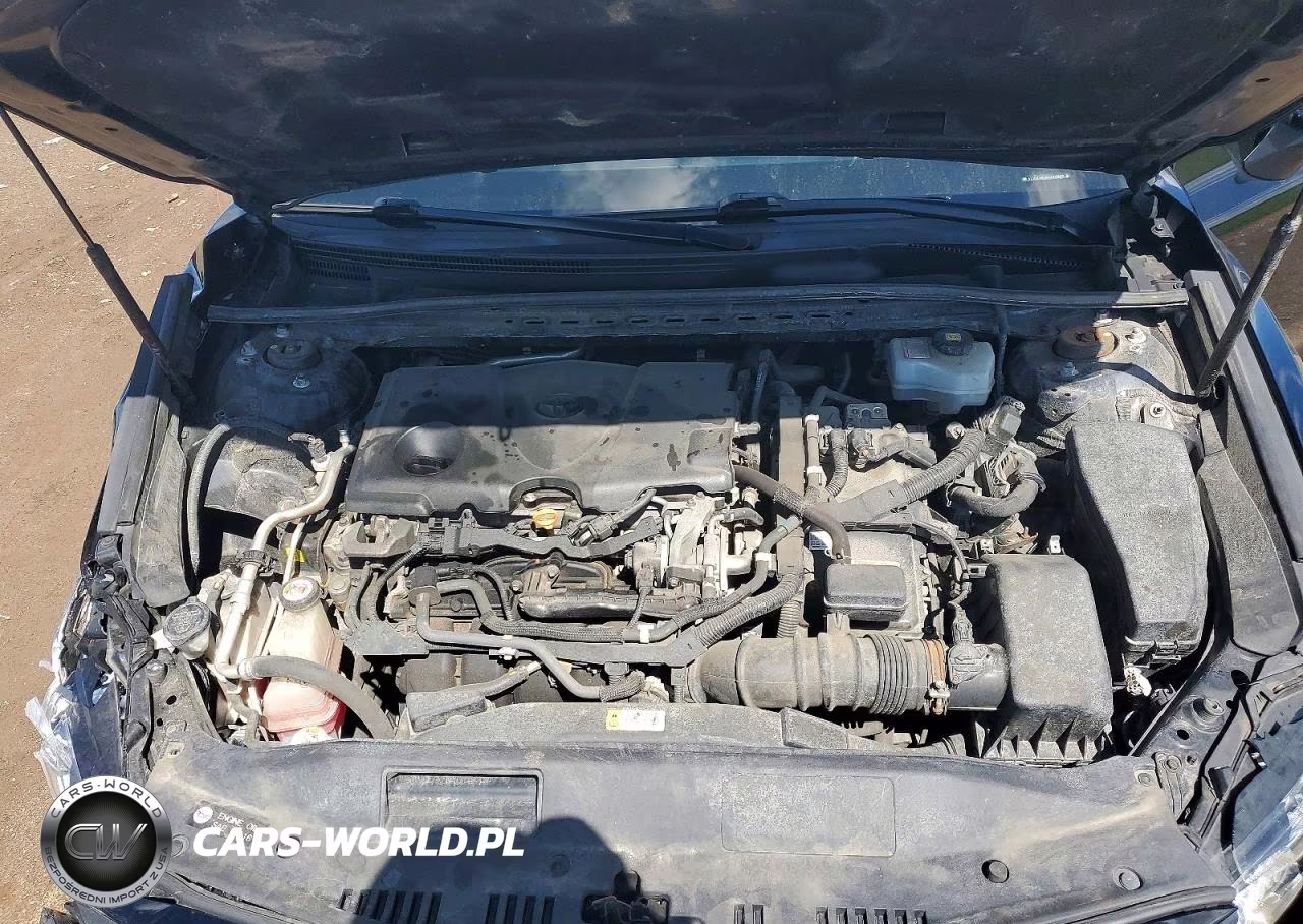 2019 Toyota Camry Le VIN:4T1B31HK9KU006866 - 11