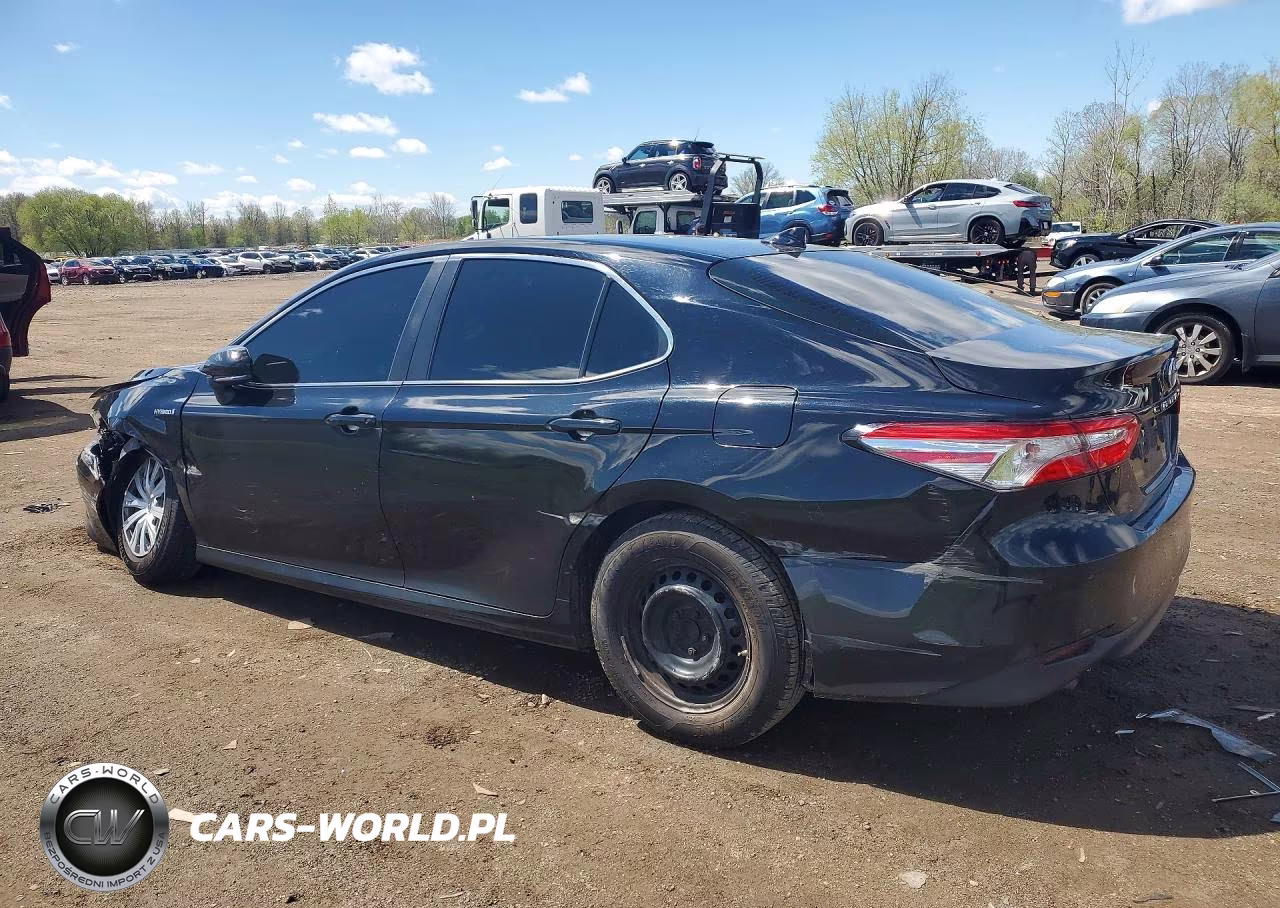 2019 Toyota Camry Le VIN:4T1B31HK9KU006866 - 2